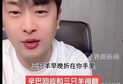 辛巴爆料三只羊事件视频在线观看,视频曝光，真相大白！